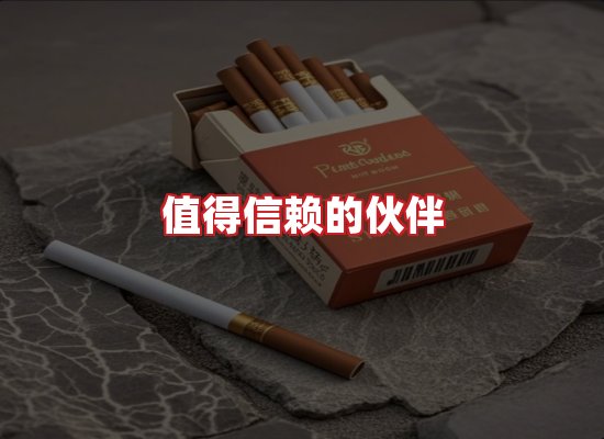 专业团队